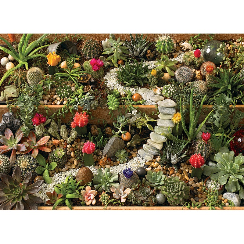Cobble Hill – Succulent Garden – 1000 pc Jigsaw Puzzle