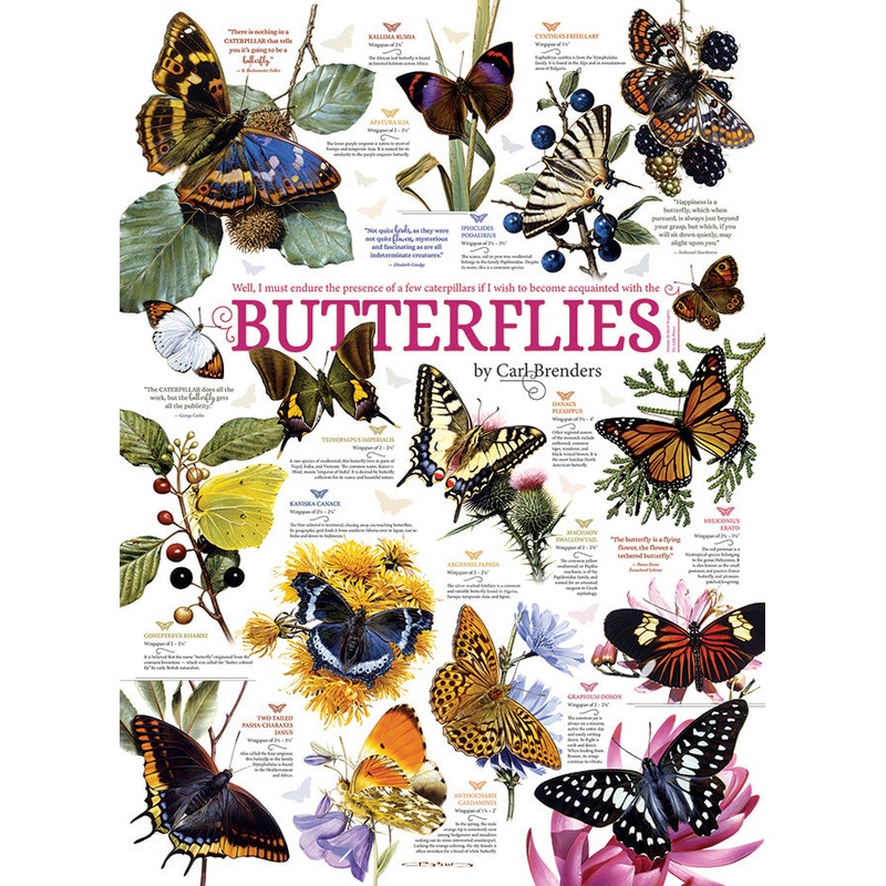 Cobble Hill – Butterfly Collection – 1000 pcs jigsaw puzzle