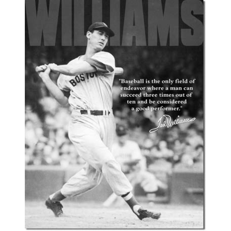 Ted Williams Tin Sign