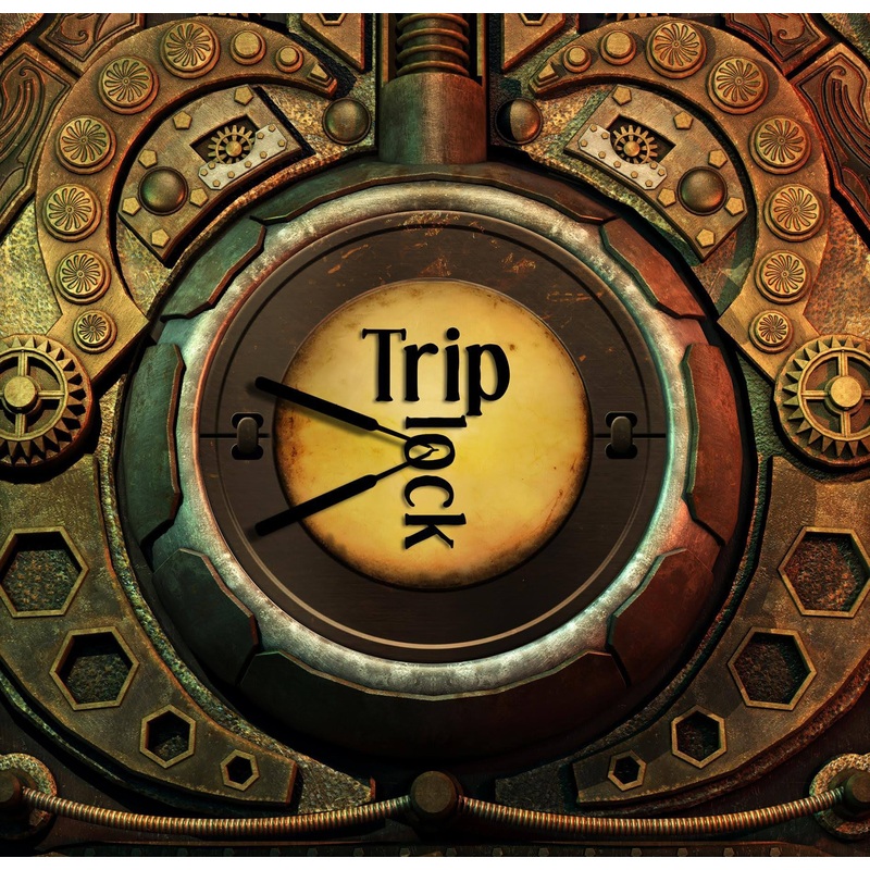 Trip Lock Game