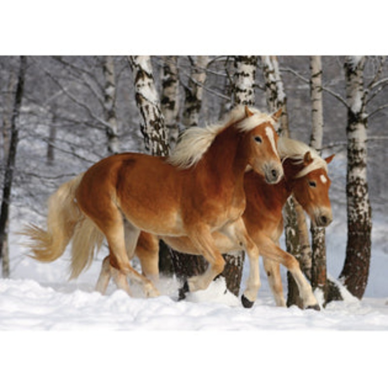 DToys – Magic of the Horse – Halfinger Duo (special shaped puzzle) 239 pieces