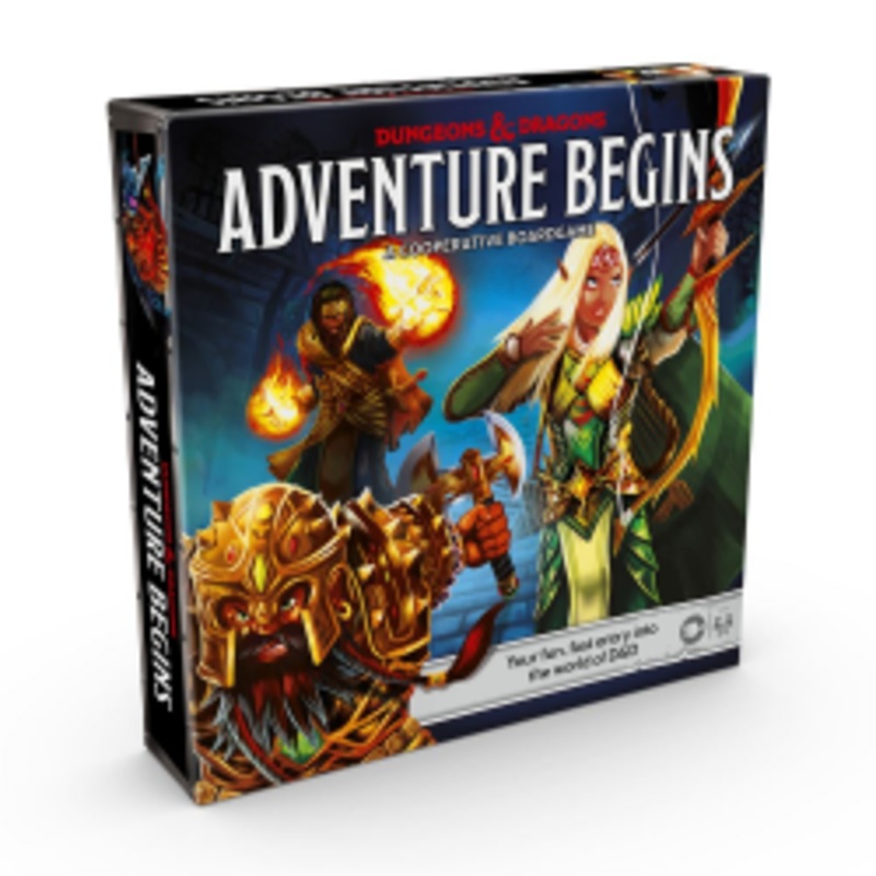 DUNGEONS AND DRAGONS ADVENTURE BEGINS