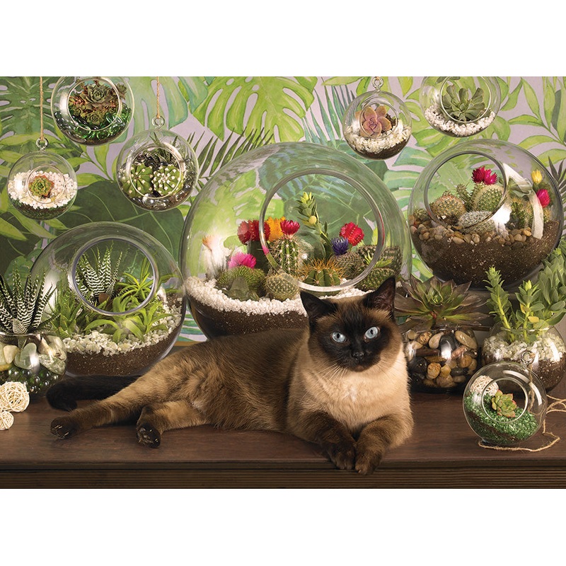 Cobble Hill – Terrarium Cat – 1000 pcs