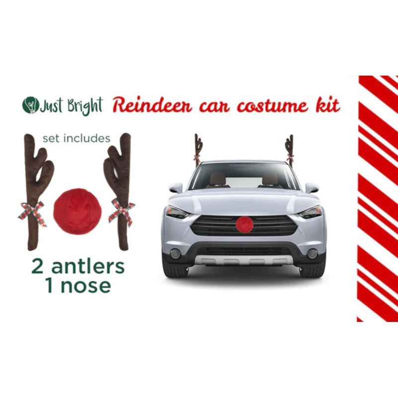 Turn Your Car Into a Reindeer