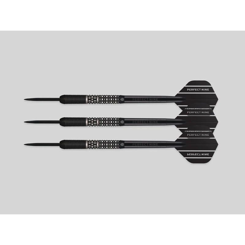 Perfect Nine Darts-Dan Read 23g
