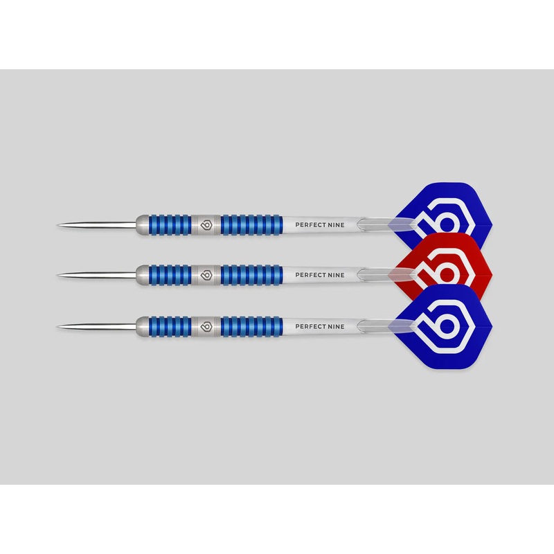 Perfect Nine Darts-Darryl Pilgrim 20g