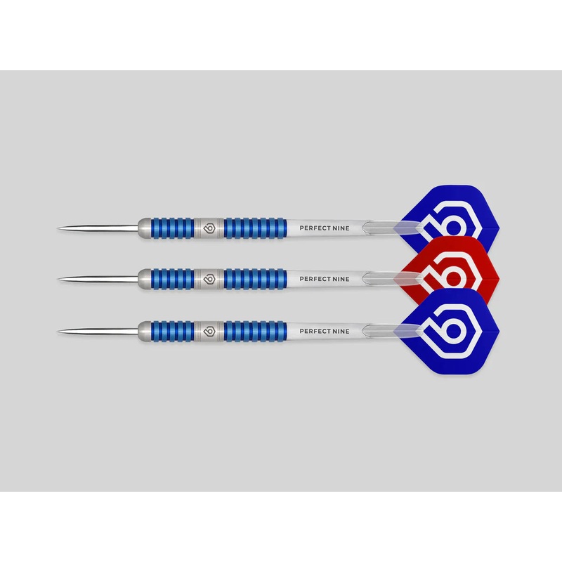 Perfect Nine Darts-Darryl Pilgrim 23g