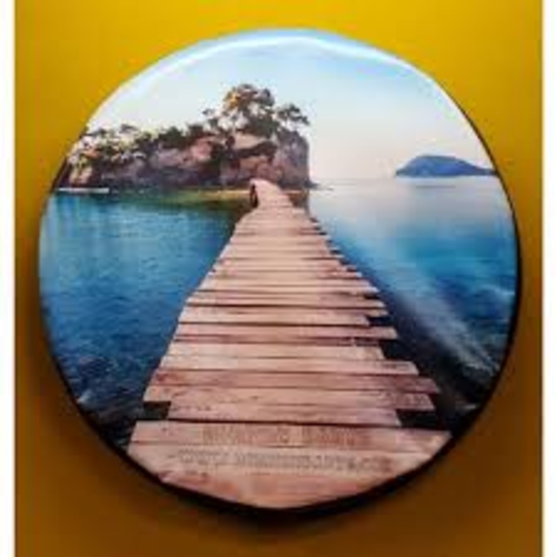 Dartboard Cover-Island Scene