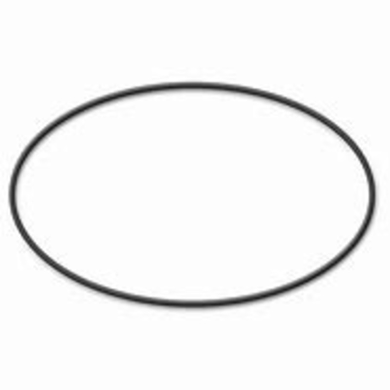 Poolrite SQ Pump Lid – Oring