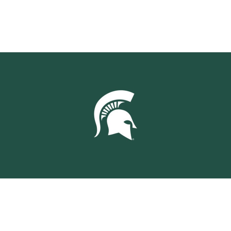 Michigan State Pool Table Felt